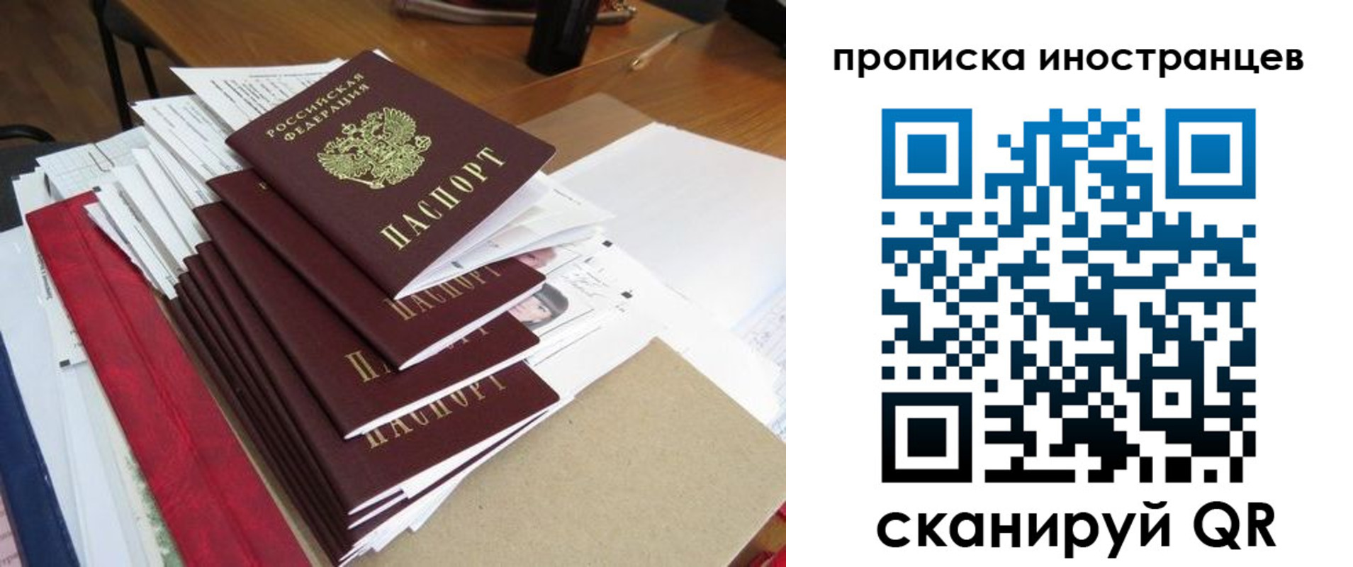 прописка для школы в Мытищах